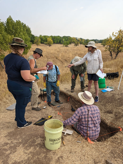 Exciting Archaeology Dig!